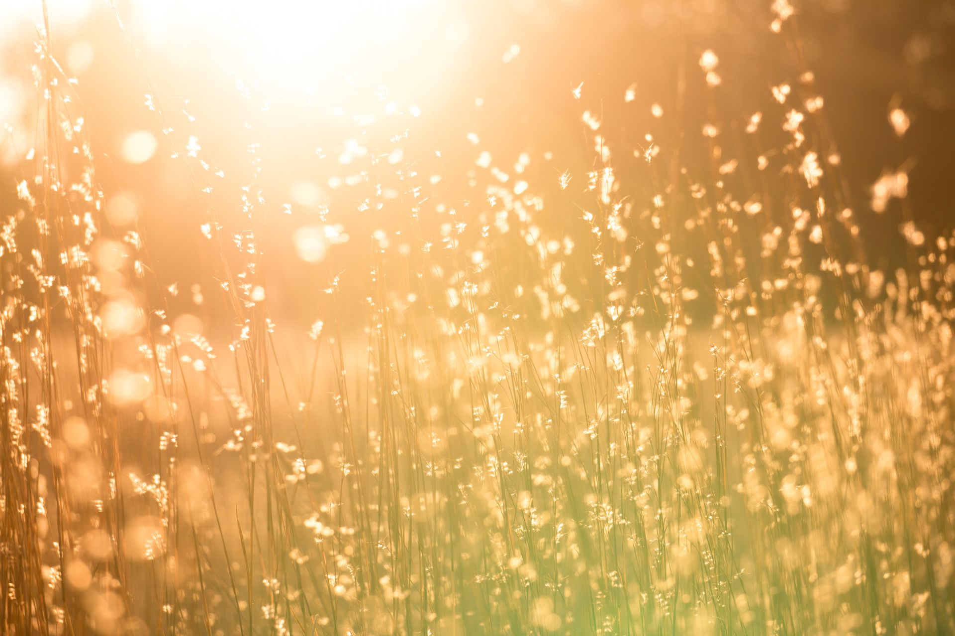 В понедельник в Кировской области ожидается ясная погода