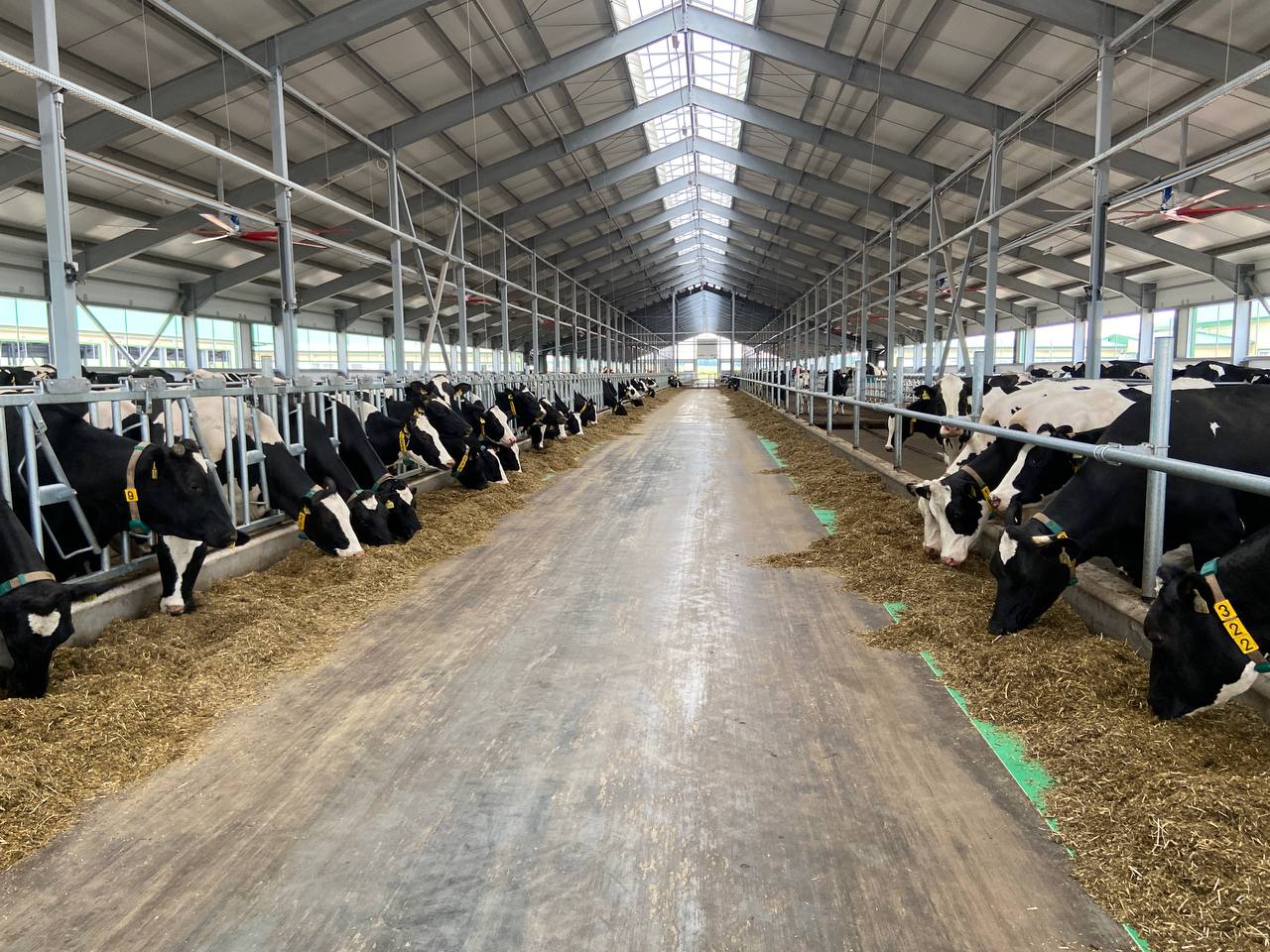 В Куменском районе запустили в работу уникальную ферму