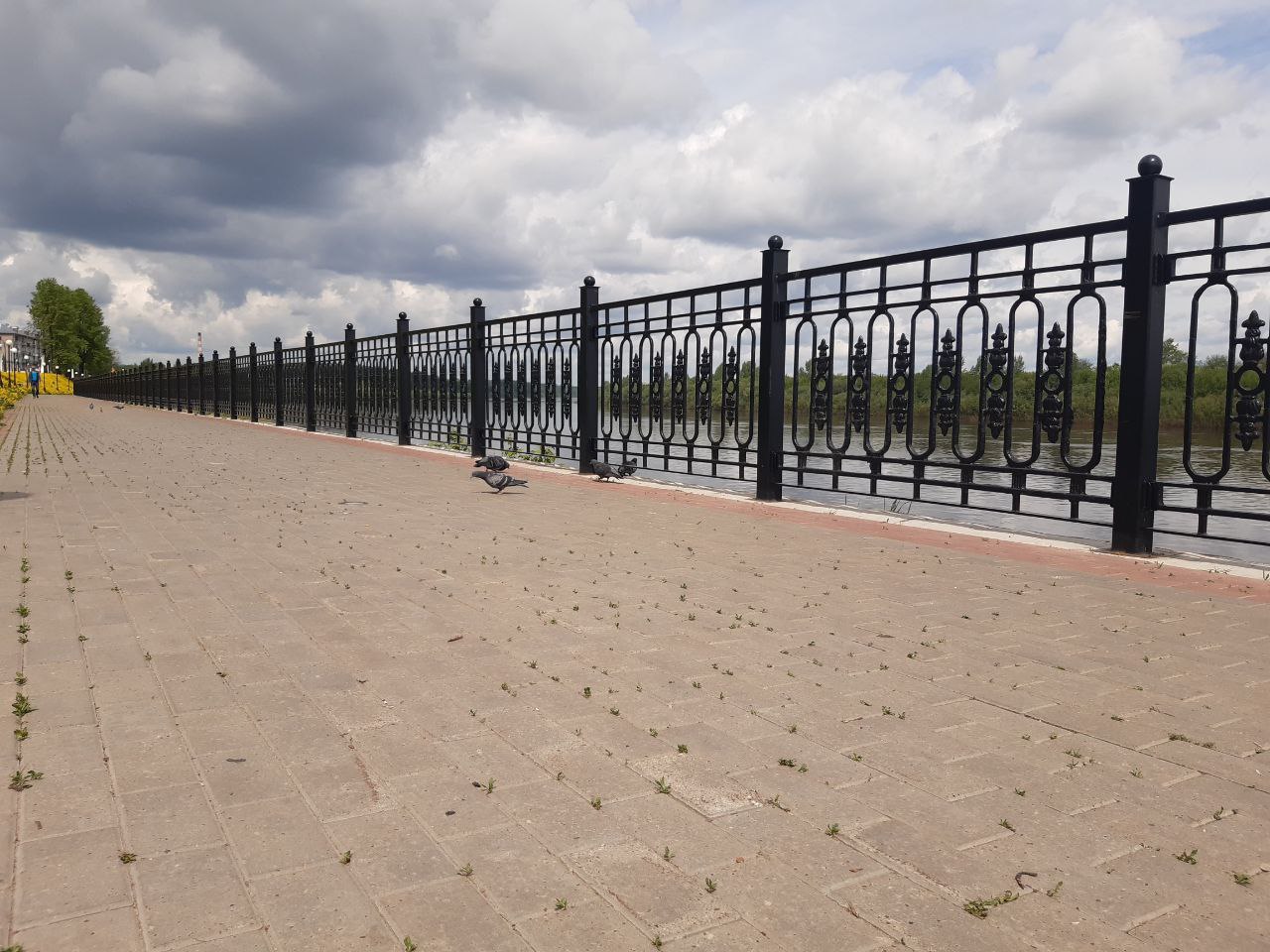 В воскресенье в Кировской области прогнозируют облачную погоду