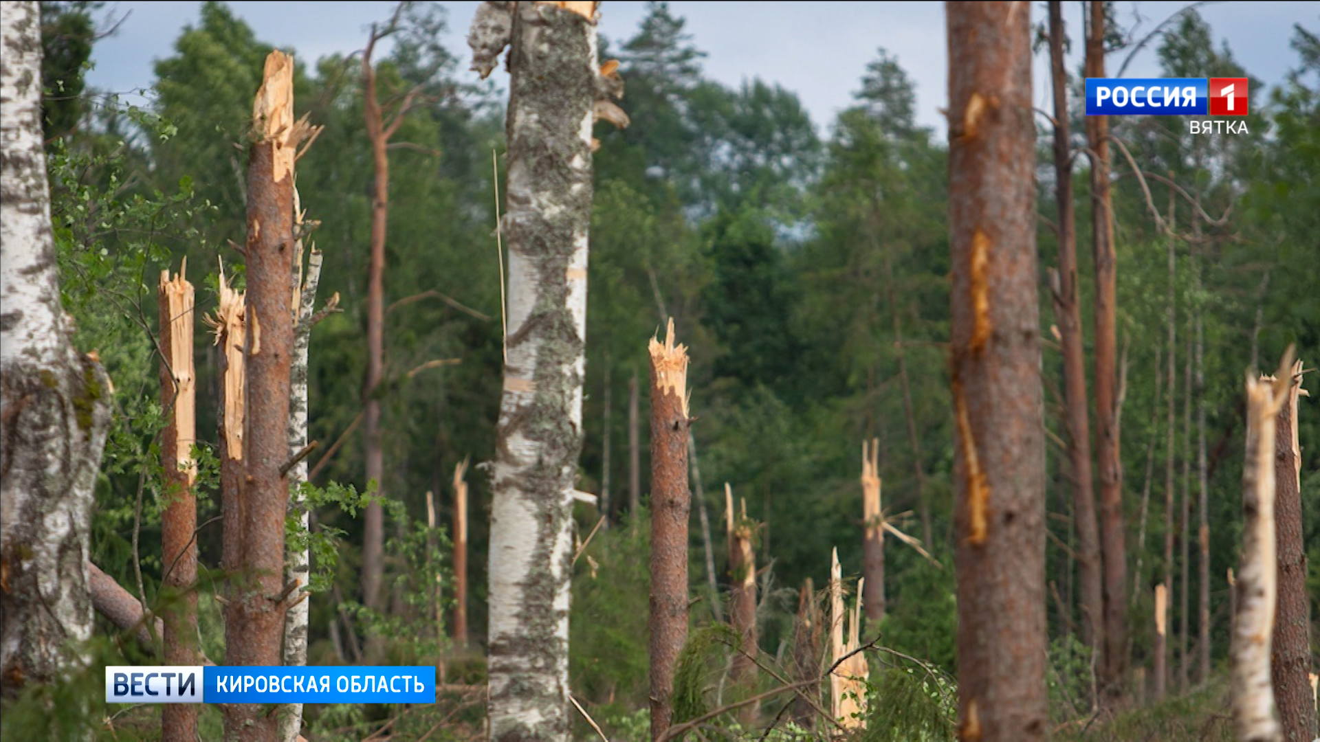 Охотники за смерчами исследовали место ветровала в Котельничском и Свечинском районах