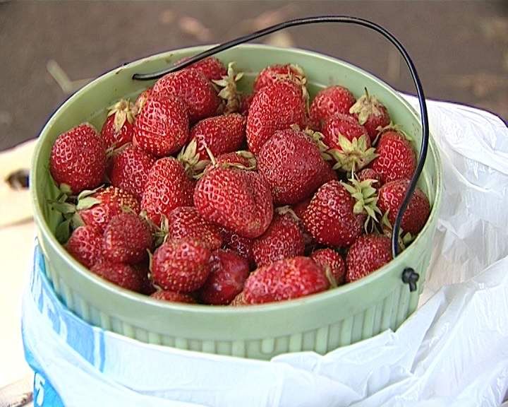 Диетолог назвала продукты, которыми диабетики могут перекусить в дороге