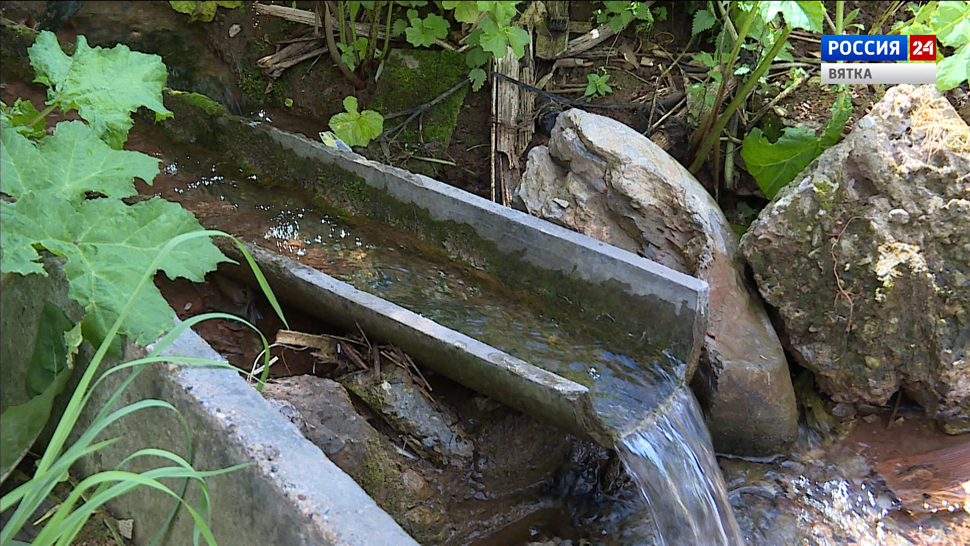 Кировские активисты начали благоустройство родника у нового моста