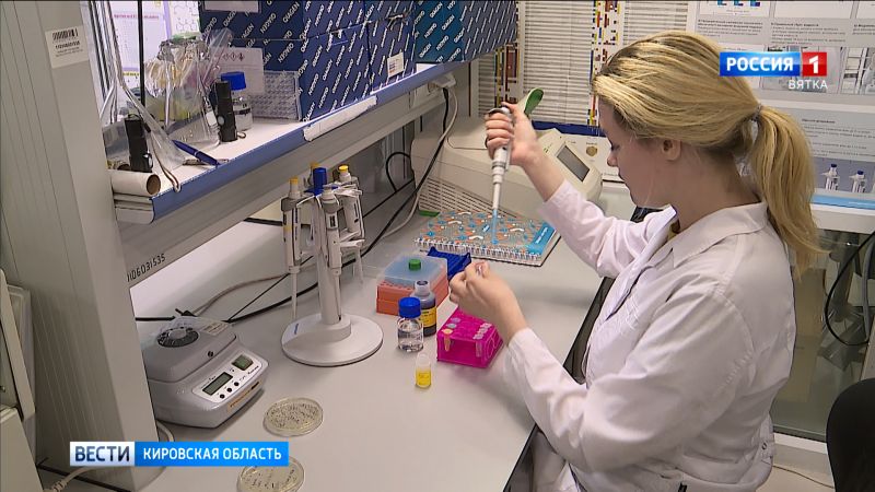 Кировские ученые создают дешевый российский сахарозаменитель