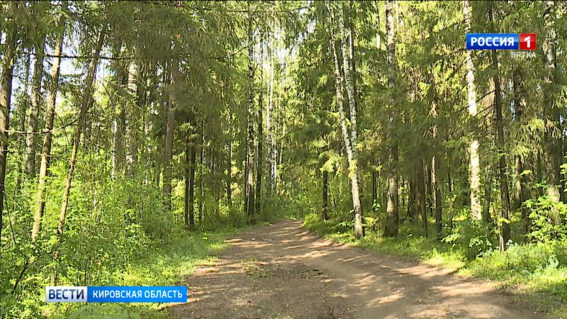 В Кировской области от клещей пострадало 2212 детей