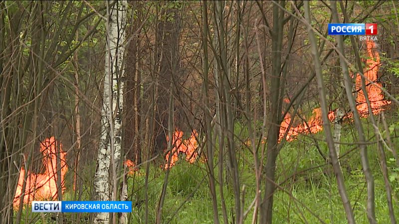 В лесах Кировской области сохраняется повышенная пожарная опасность