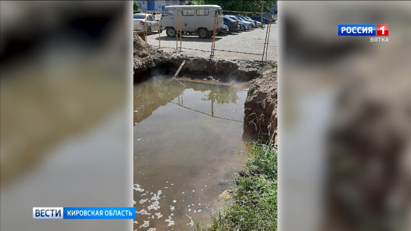 В Кирове на улице Подгорной собака упала в яму с кипятком