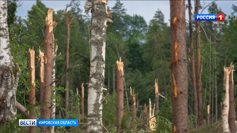 Охотники за смерчами исследовали место ветровала в Котельничском и Свечинском районах