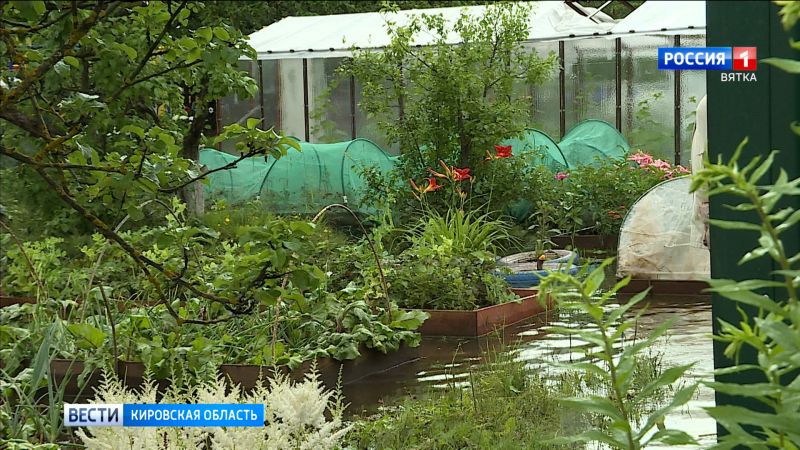 В кировском садоводстве «Ветеран» затопило несколько участков