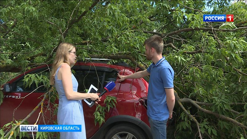 Кировские водители ищут ответственного за падение дерева на машины