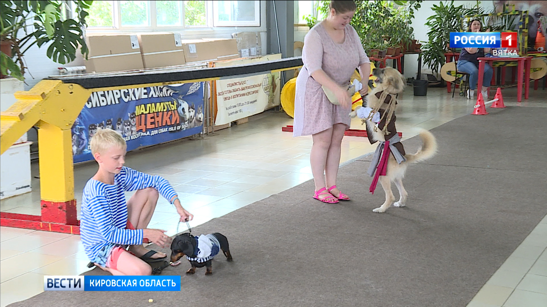 В Кирове прошло собачье шоу «Верные друзья»
