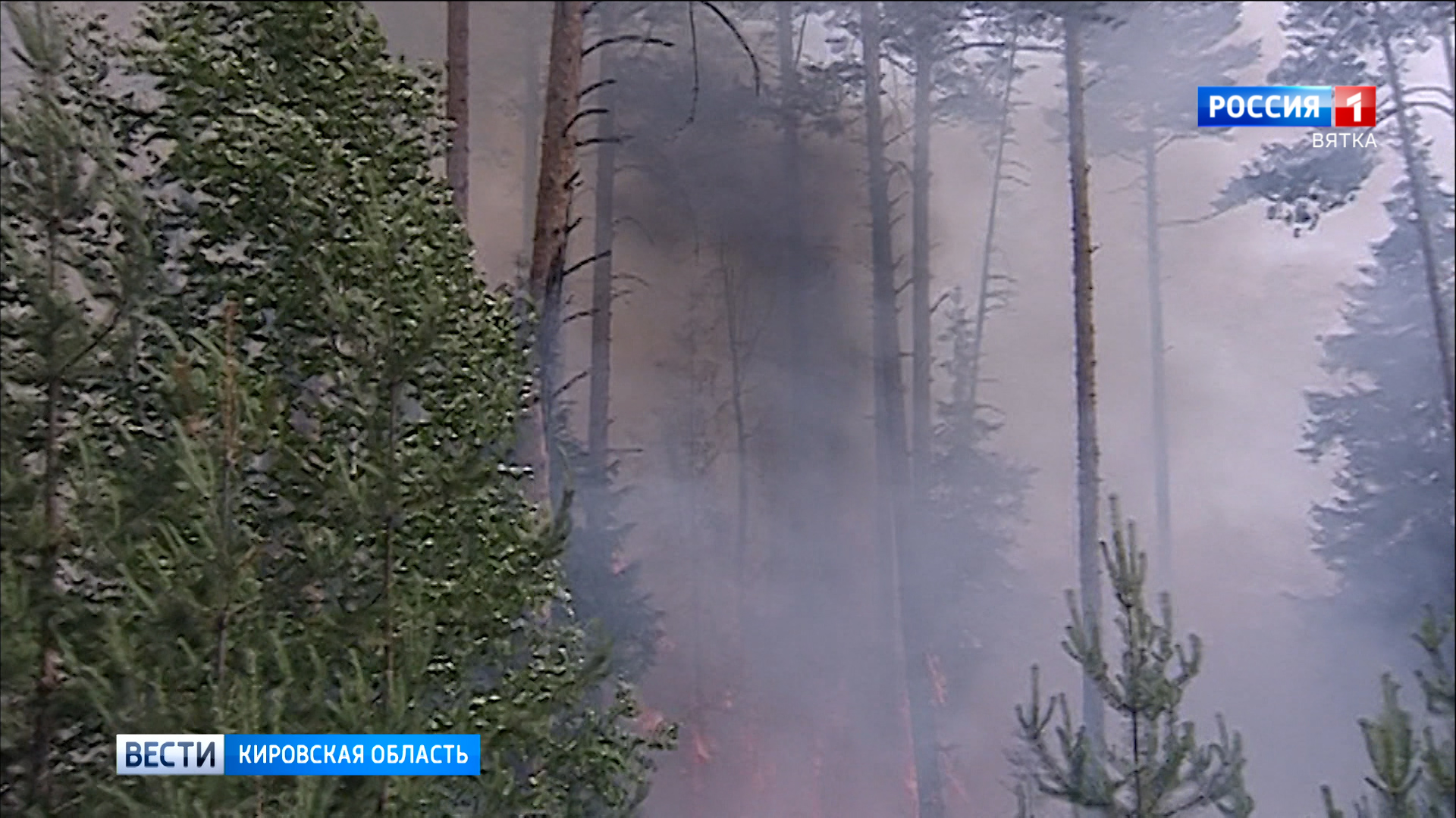 В Кировской области зафиксировали три лесных пожара