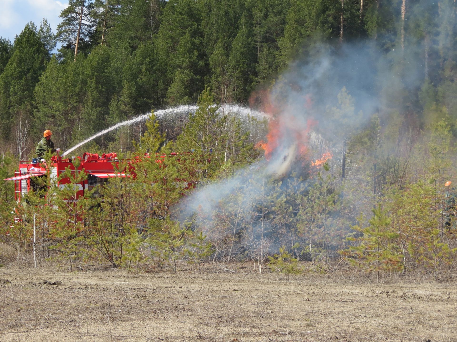 В кировских лесах установлен особый противопожарный режим