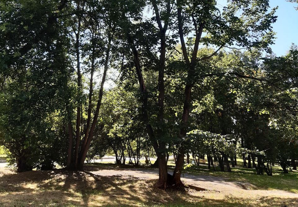 В субботу в Кировской области обещают до  28