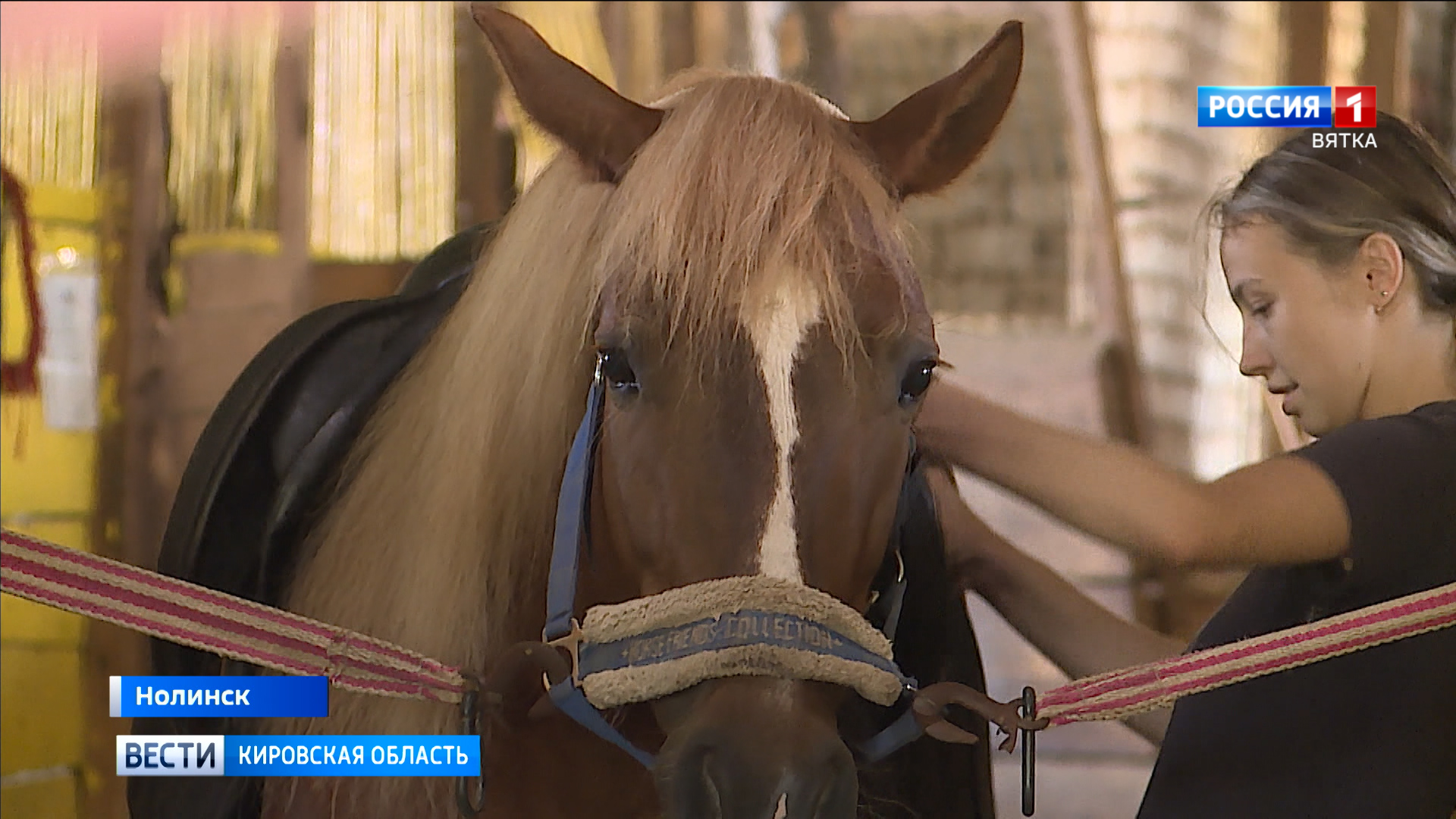 В Нолинске пытаются спасти старейшую в Кировской области конюшню