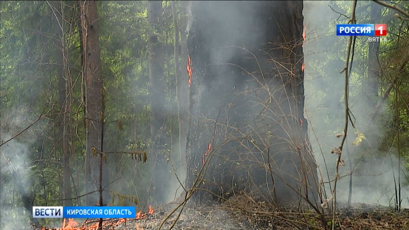В Кировской области объявлено метеопредупреждение