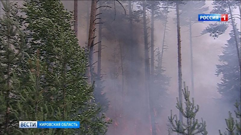 В Кировской области зафиксировали три лесных пожара