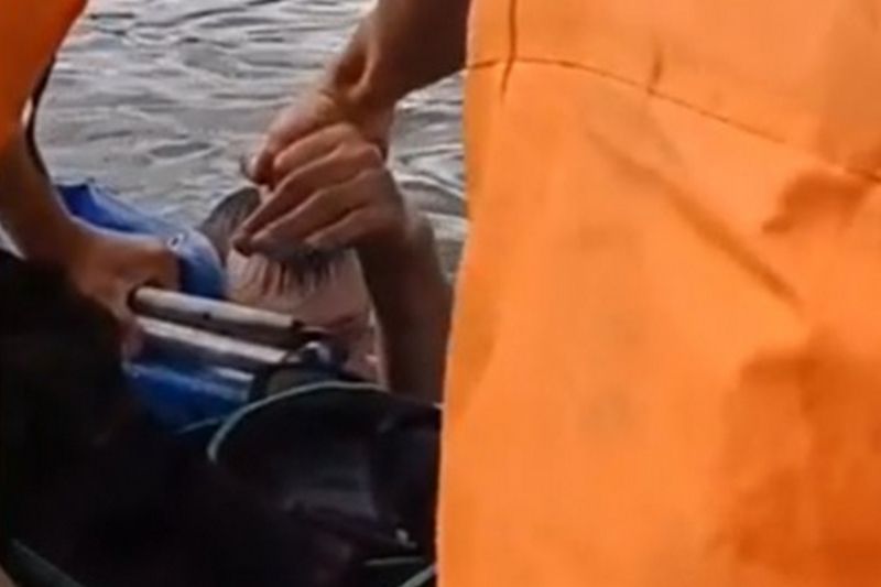 В реке Вятке спасли тонущего мужчину