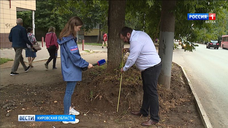 В Кирове перестарались со срезкой газонов
