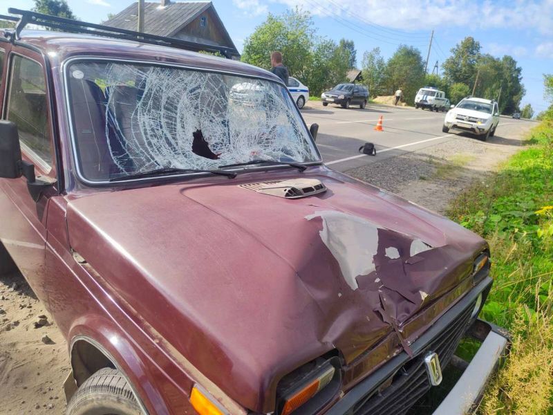 В ДТП в Омутнинске погиб пешеход