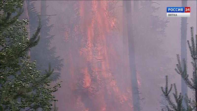 В Оричевском районе произошел лесной пожар