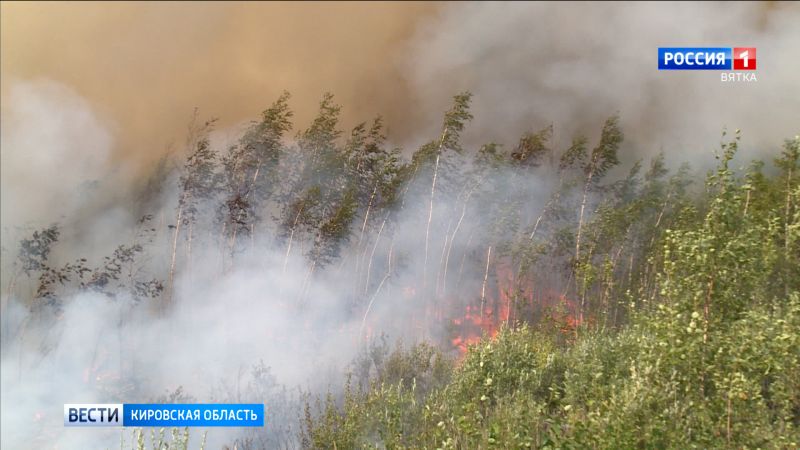 В Шабалинском районе горит 1,8 га леса