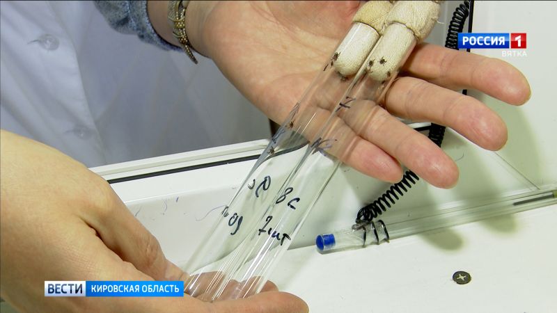 24 тысяч кировчан пострадали от клещей