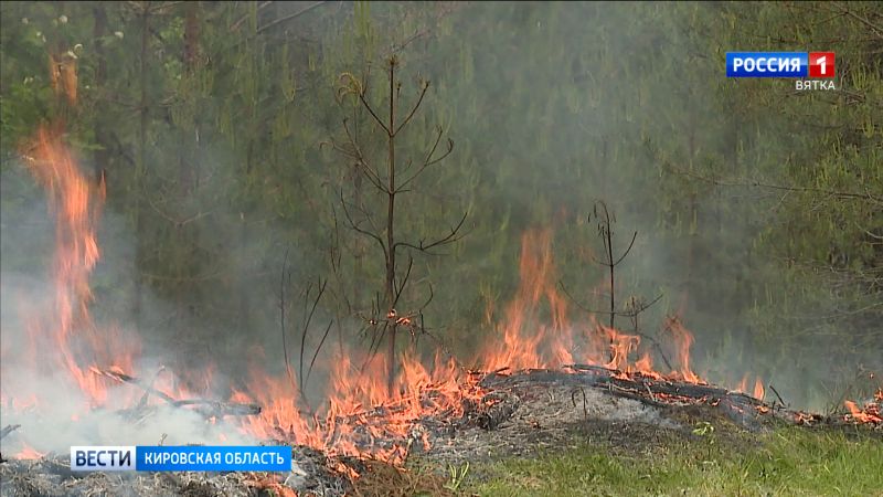 За сутки в Кировской области зарегистрировали 5 лесных пожаров