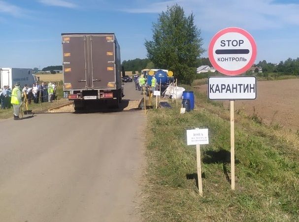 Кировские ветеринары опровергли информацию из социальных сетей о карантине в трех районах области