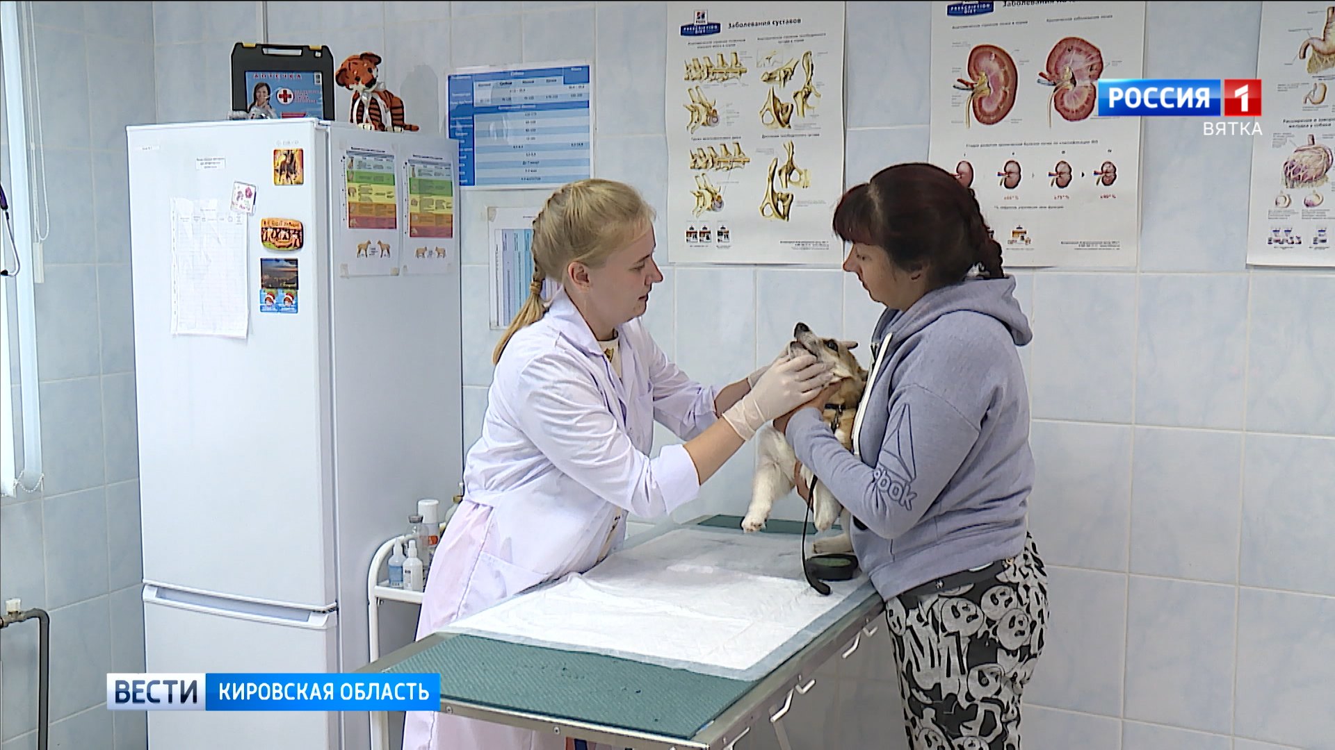 Кировские ветеринары отметили свой профессиональный праздник