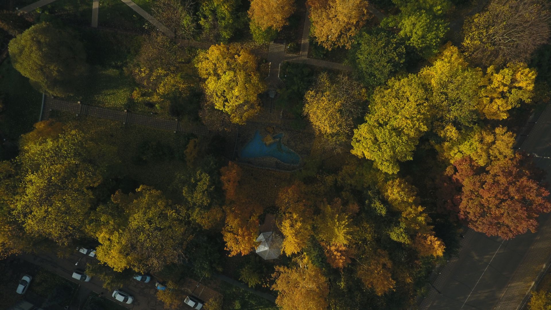 Ночью в Кировской области прогнозируют заморозки на почве