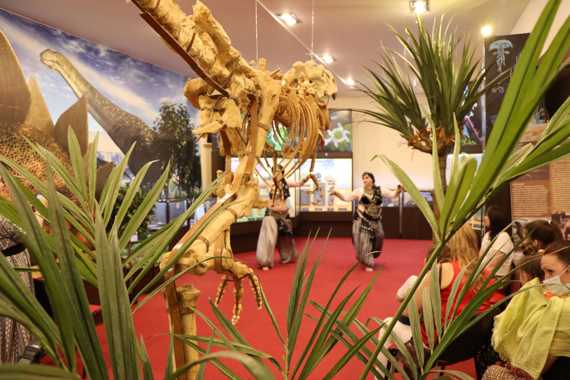 Вятский палеонтологический музей может переехать в новое здание