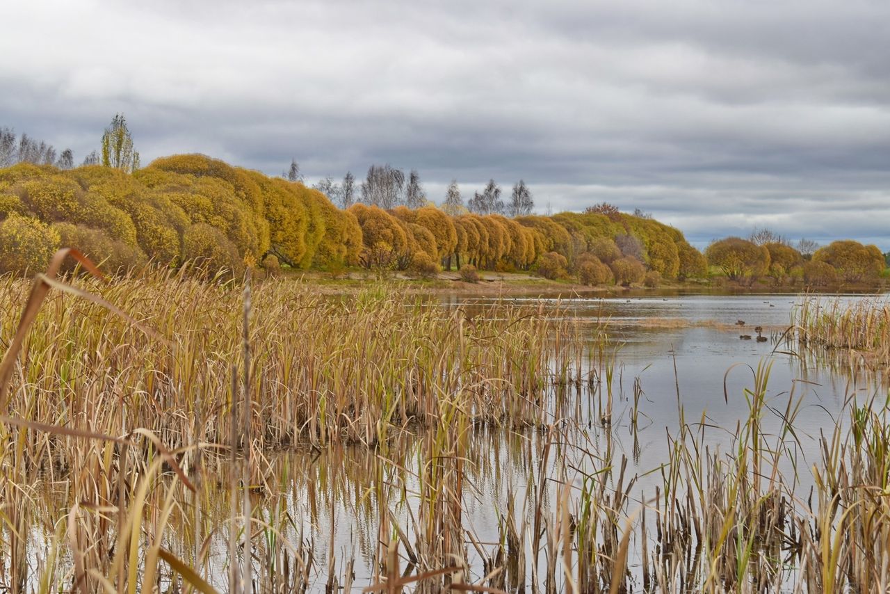 В Костино обследуют пруд и проведут инженерные изыскания