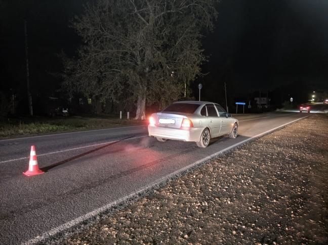 В Садаковском водитель «Опеля» сбил пенсионера на улице Московской