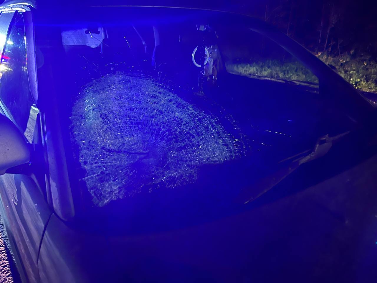 В Нововятском районе иномарка насмерть сбила пенсионерку