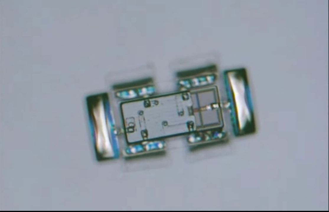 Ученые создали микророботов для медицинских задач