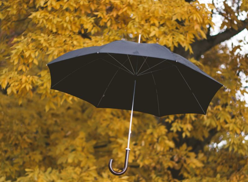 В Кировской области прогнозируют до +15 градусов и дожди