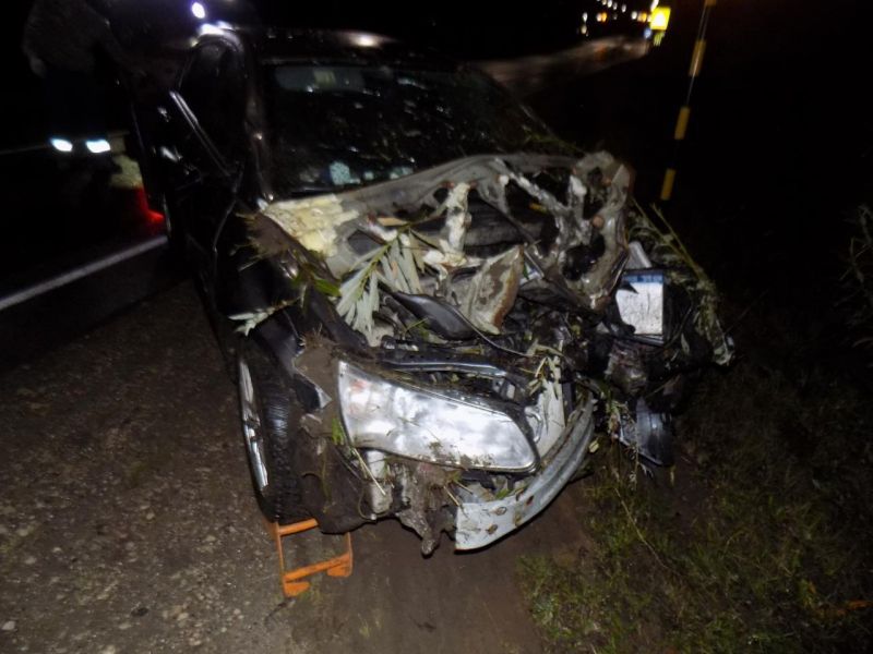 В Кировской области водитель иномарки въехал в столб