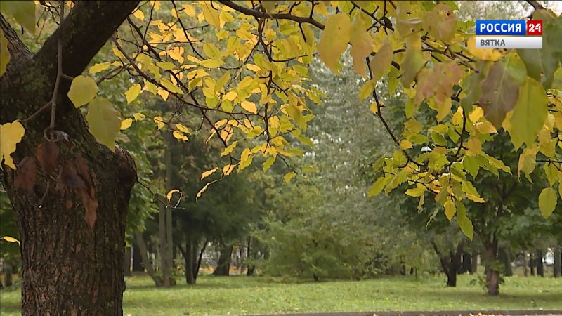 В Кировском гидрометцентре рассказали, какую погоду ждать в октябре