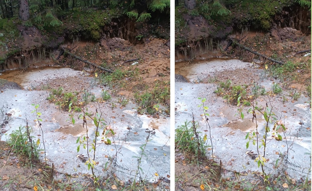 В лесном массиве Юрьянского района слили бетон