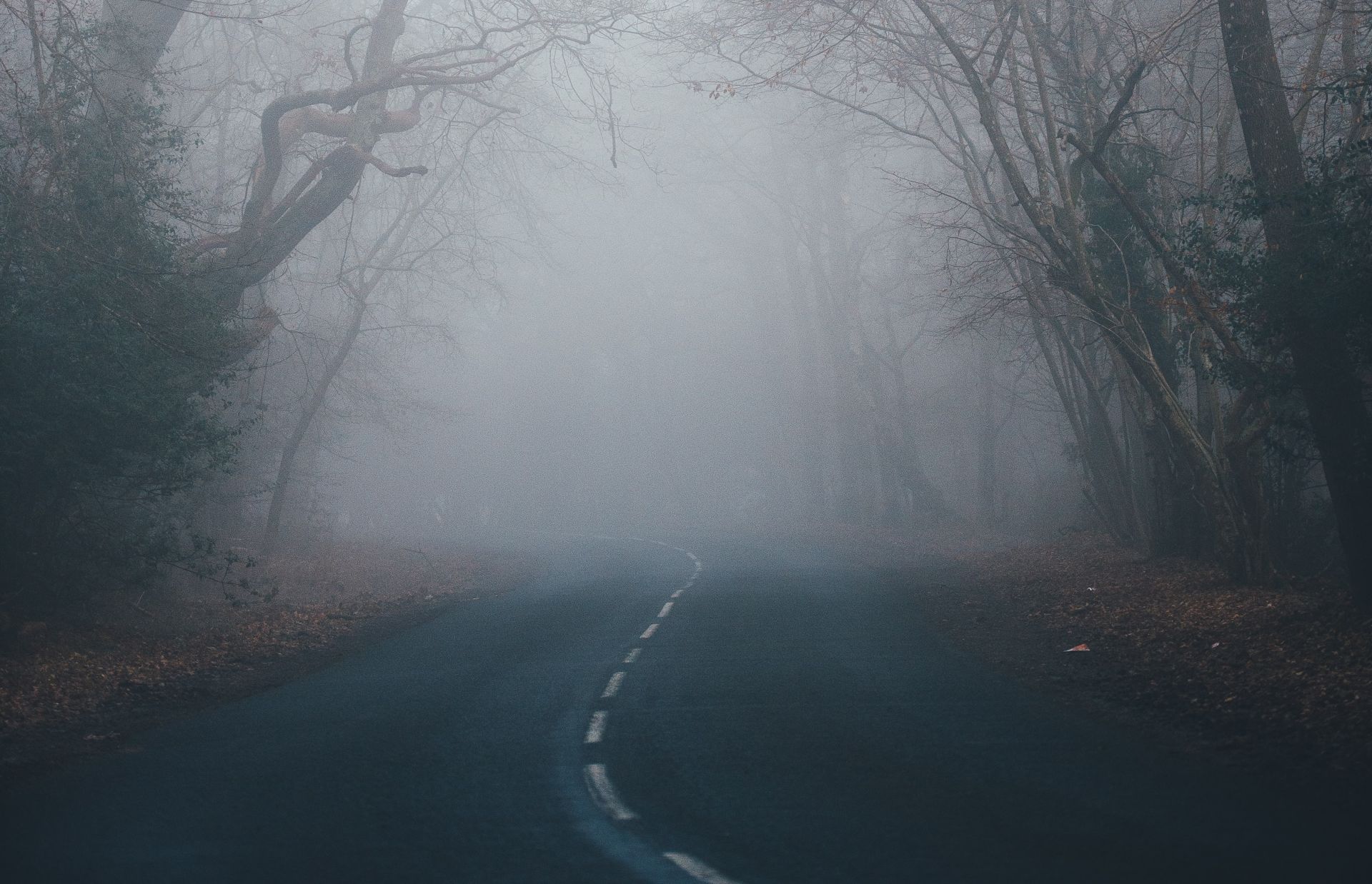 Во вторник над Кировской областью сгустится туман