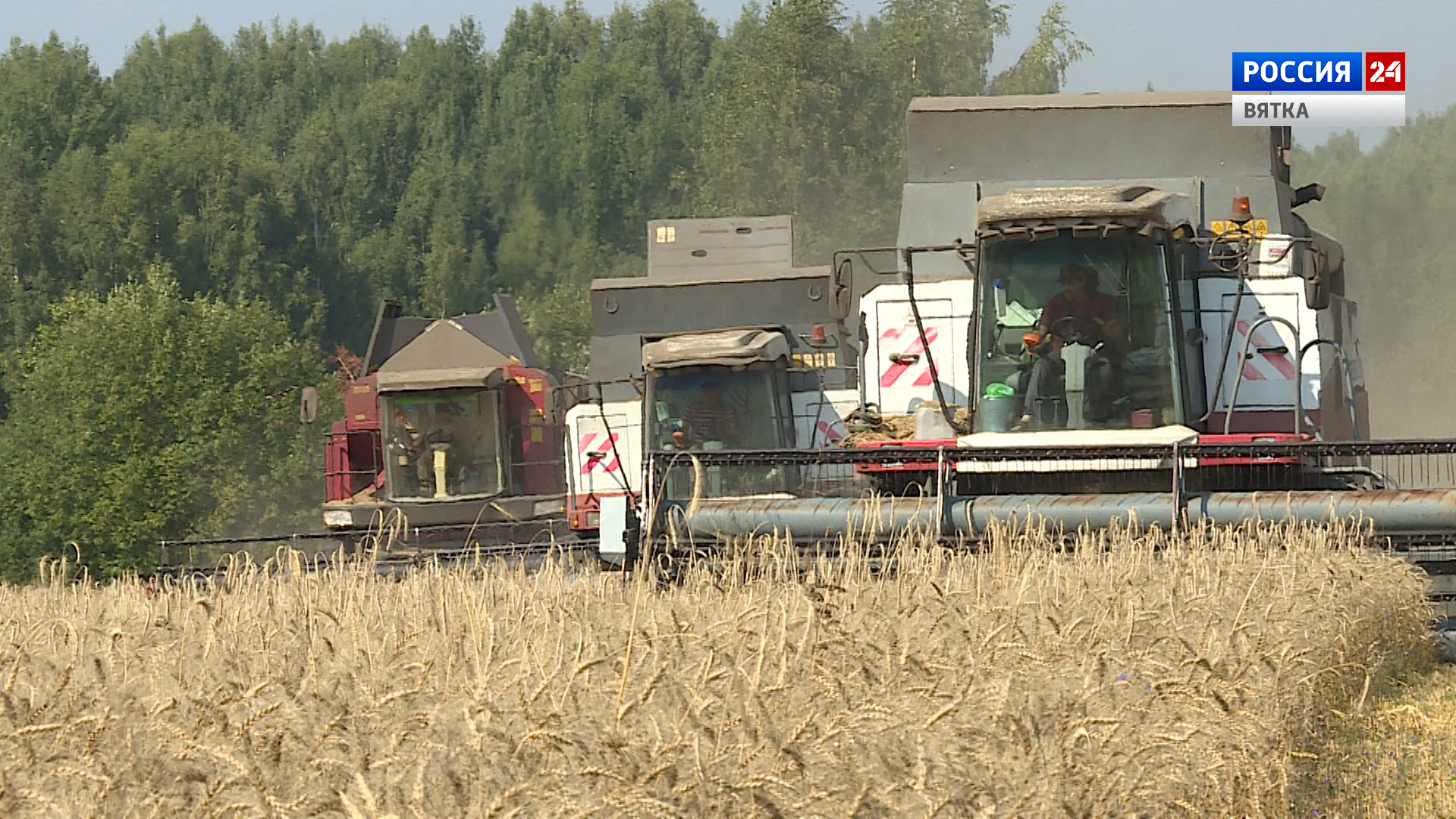 Губерния. СПК «Рассвет» (12.10.2022)