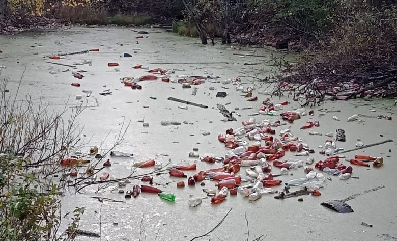 В Омутнинске пруд утопал в мусоре