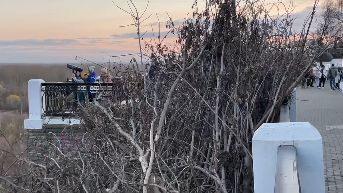 На набережной Грина в Кирове завершается уборка поросли