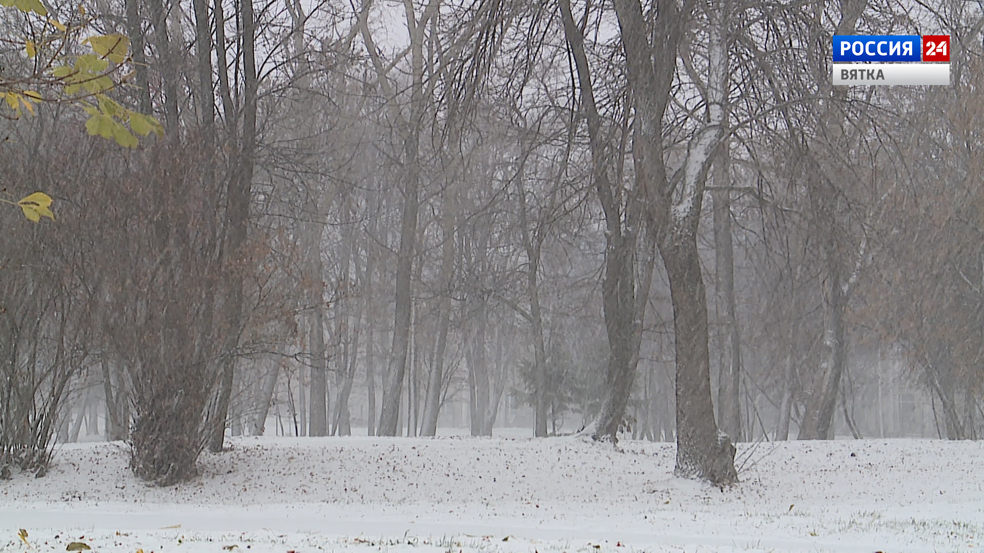 Кировчан предупредили о затяжном предзимье