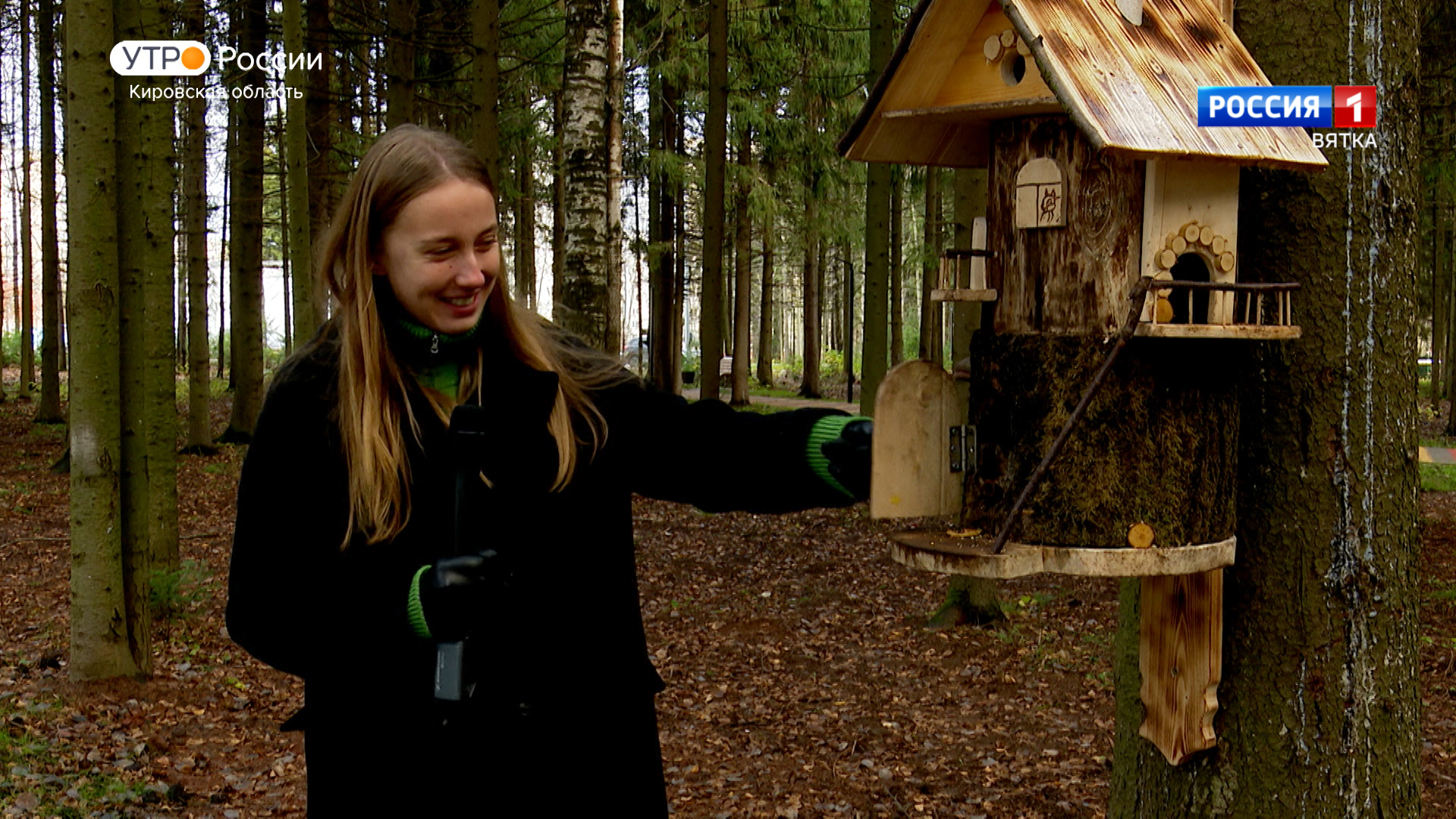 Хвост за хвост. Беличий городок (28.10.2022)