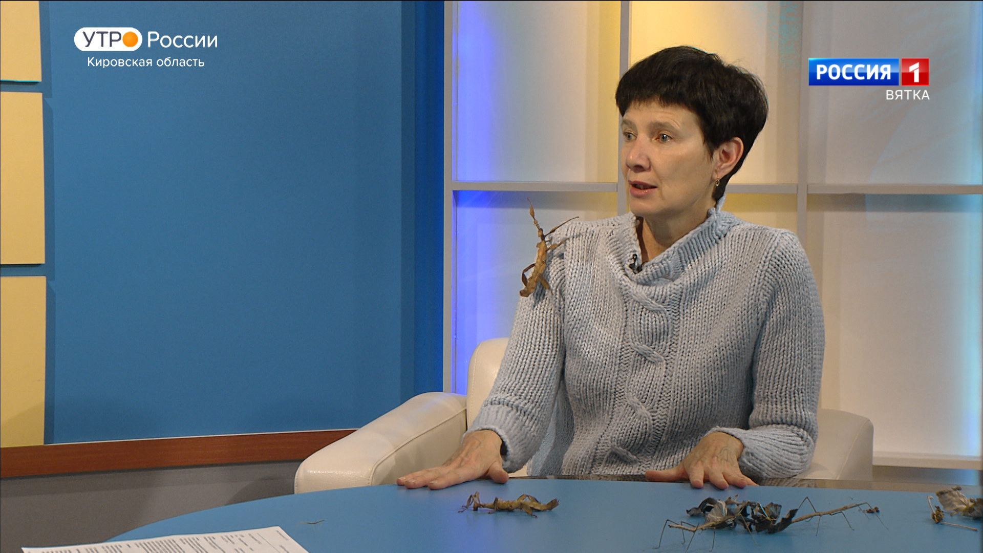 Интервью с руководителем экоклуба «Лес» Ольгой Полубейко (31.10.2022)