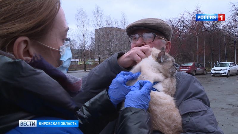 В Октябрьском районе Кирова началась вакцинация домашних животных от бешенства