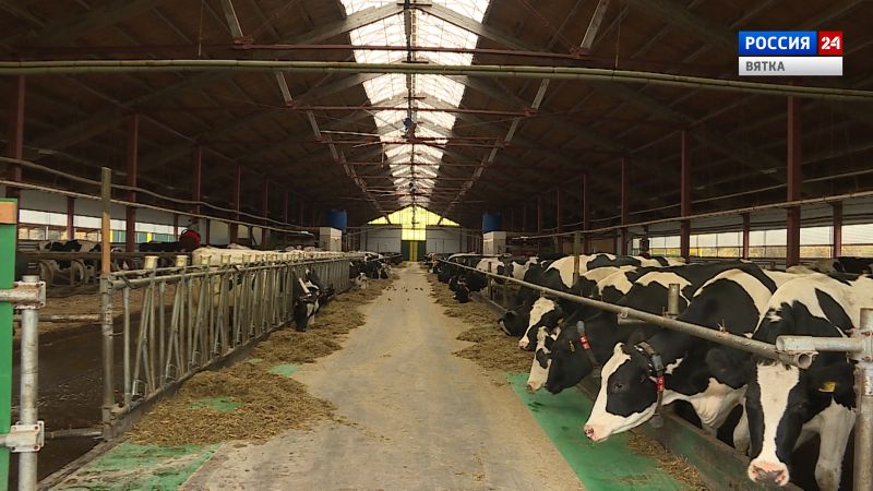 Губерния. СПК «Быданово» (19.10.2022)