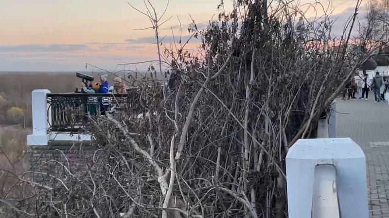 На набережной Грина в Кирове завершается уборка поросли