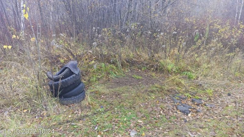 На берегу Вятки у Заречного парка убрали свалку